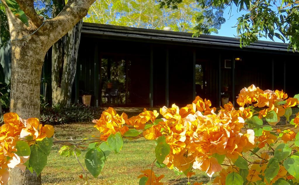 Lagoon Pocket Bed & Breakfast 외부 사진